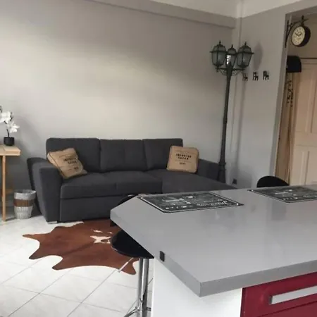 Spacieux F2 Limite Cannes 2 Personnes - *